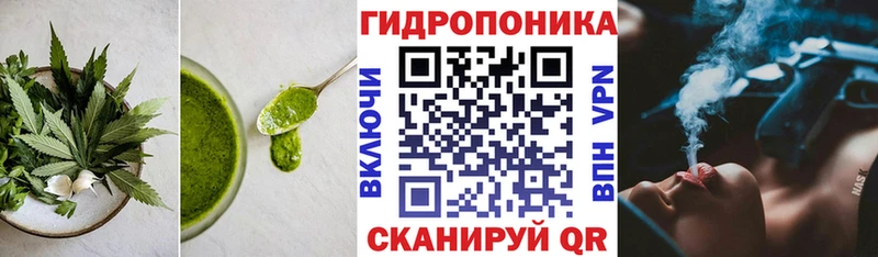 купить наркотики сайты Санкт-Петербург Печенье с ТГК марихуана