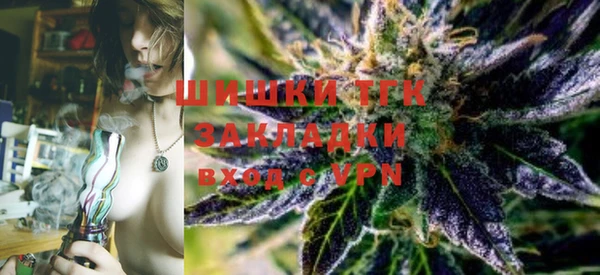 стаф Ростов