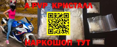 молекула духа Кингисепп