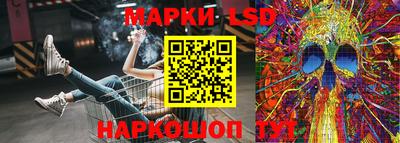 молекула духа Кингисепп