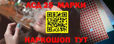 молекула духа Кингисепп