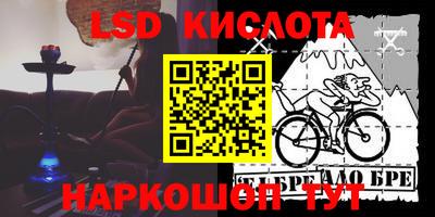 молекула духа Кингисепп