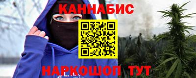 молекула духа Кингисепп