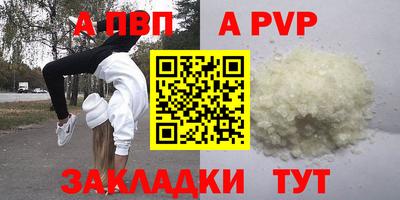 молекула духа Кингисепп