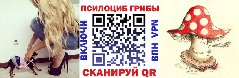 Галлюциногенные грибы прущие грибы Санкт-Петербург