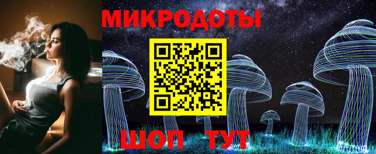 Псилоцибиновые грибы Psilocybe  Вход с VPN  Санкт-Петербург 