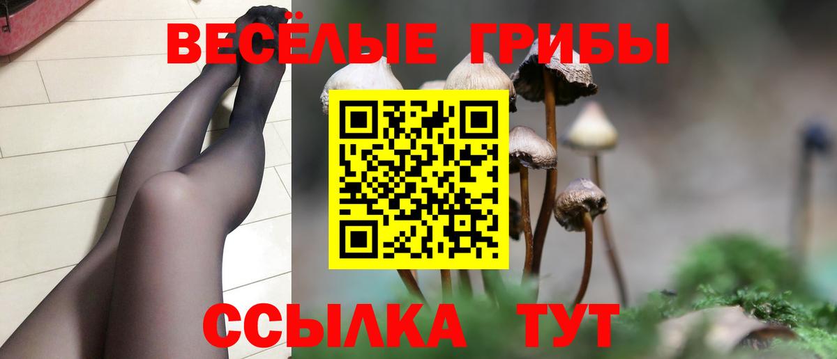 Псилоцибиновые грибы мицелий Санкт-Петербург